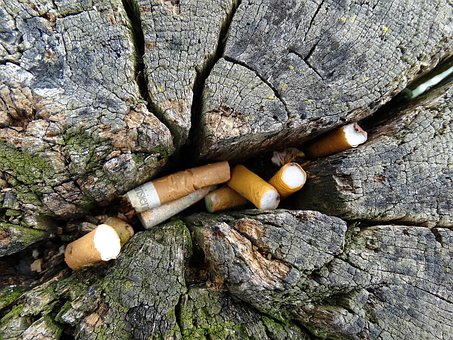 Cigarettes, Disposal, Tree Trunk, Cracks