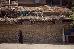 housing, egypt, poor