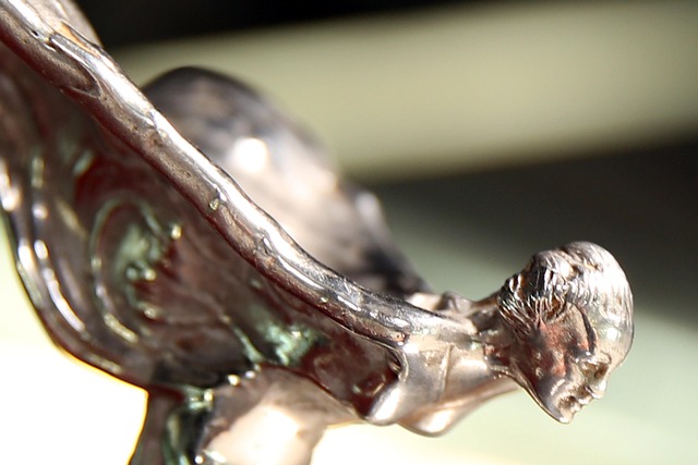 Free Hood Ornament Eleanor photo and picture