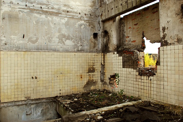 Free Devastation Building photo and picture