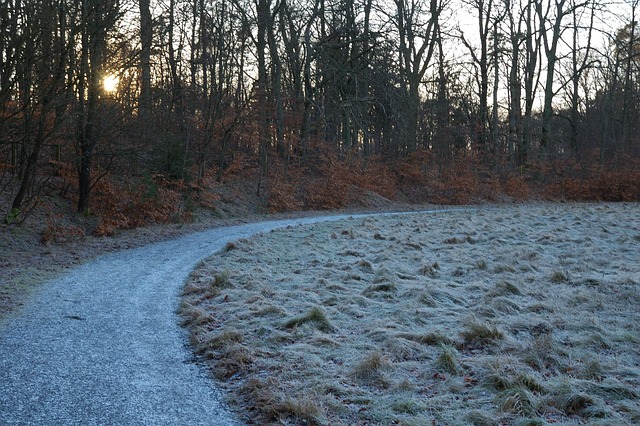 Free Frozen Ground photo and picture