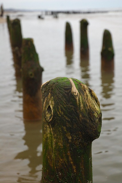 Free Sea Breakwaters photo and picture