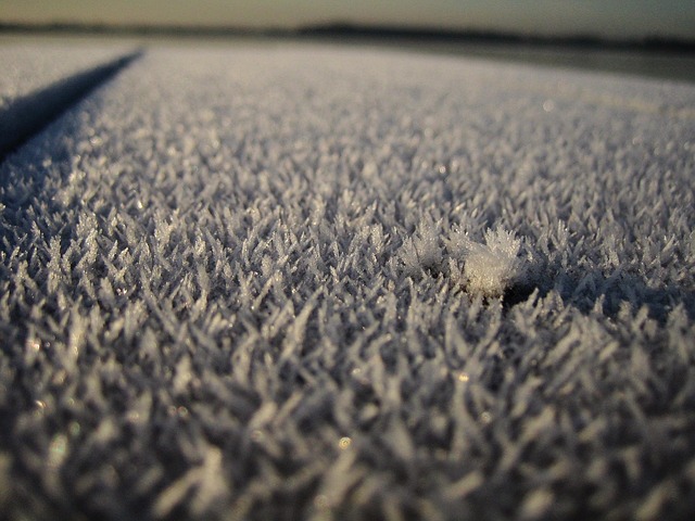 Free Frost Beautiful Wallpaper photo and picture