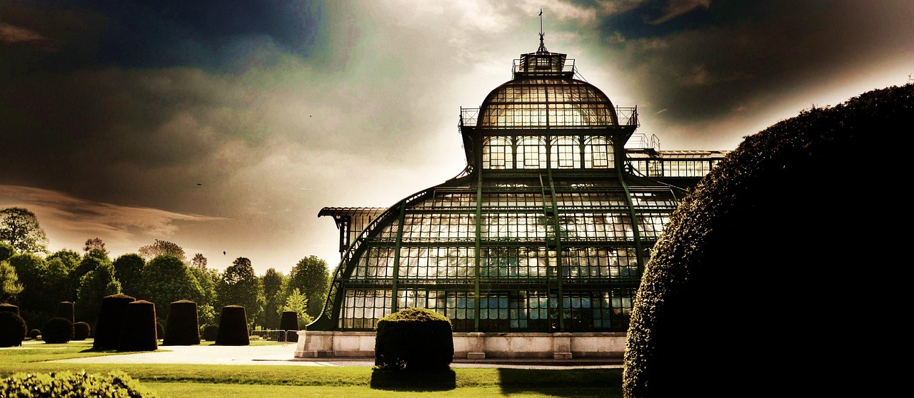 Palm House - free online jigsaw puzzle photo