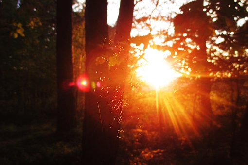 Free Web Evening photo and picture