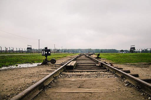 Auschwitz, Birkenau, Het Spoor, Trein