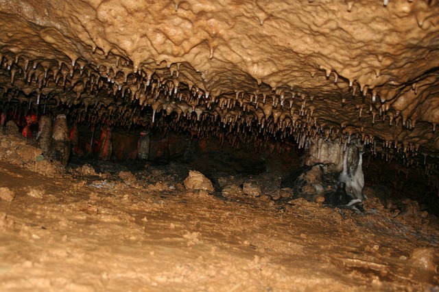 Free Oselle Caves photo and picture