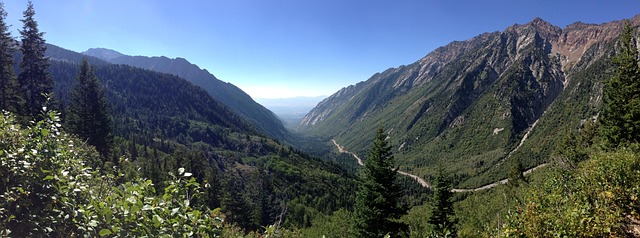 Free Canyon Green photo and picture