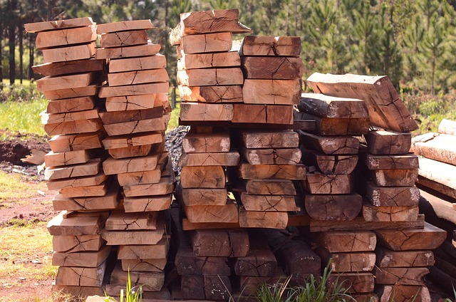 Madera, Madera Natural, Silvicultura