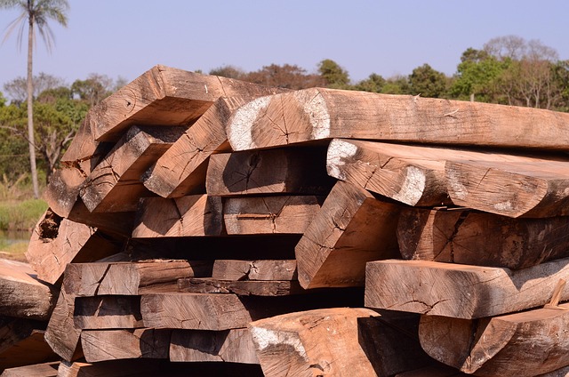 Madera, Madera Natural, Silvicultura