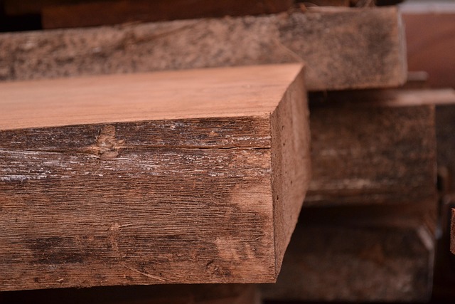 Madera, Madera Natural, Silvicultura