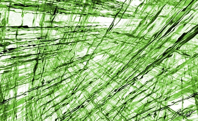 Fractal, Verde, Digital, Resumo, Brilhar