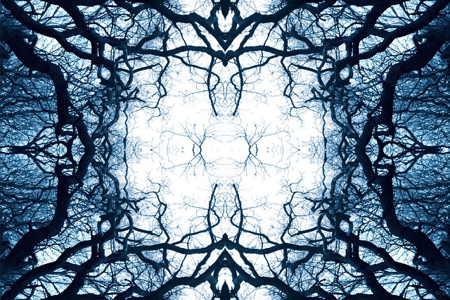 Caleidoscópio, Galhos, Azul, Frio