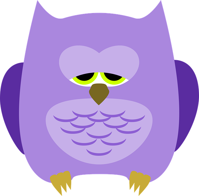 Eule, Kauz, Vogel, Tier, Gefieder