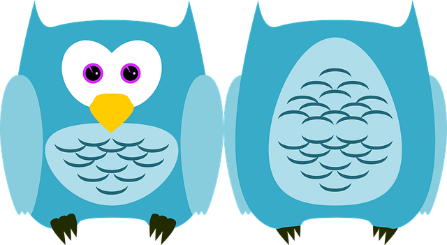Eule, Kauz, Vogel, Tier, Gefieder