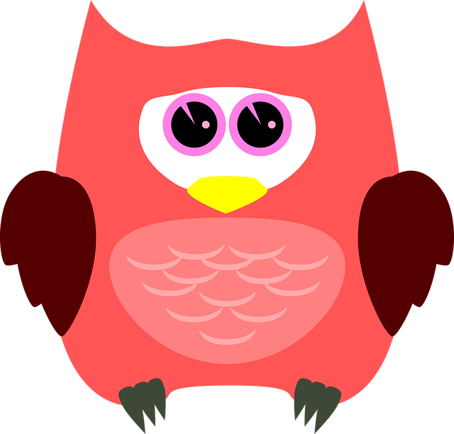 Eule, Kauz, Vogel, Tier, Gefieder