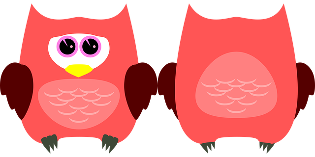 Eule, Kauz, Vogel, Tier, Gefieder