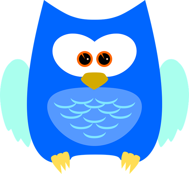 Eule, Kauz, Vogel, Tier, Gefieder
