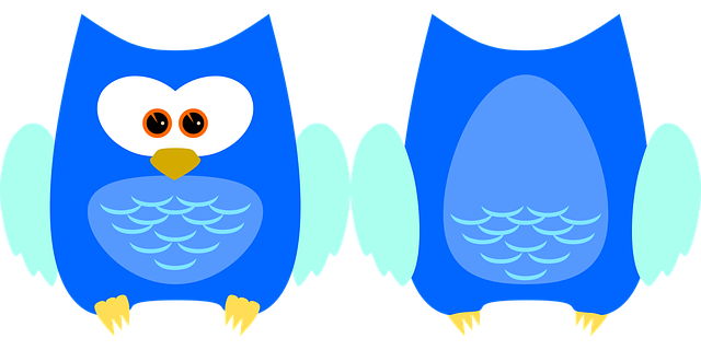 Free owl bird animal vector