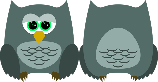 Eule, Kauz, Vogel, Tier, Gefieder