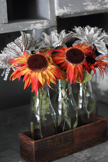 Efterår, Blomst, Natur, Orange, Blomster