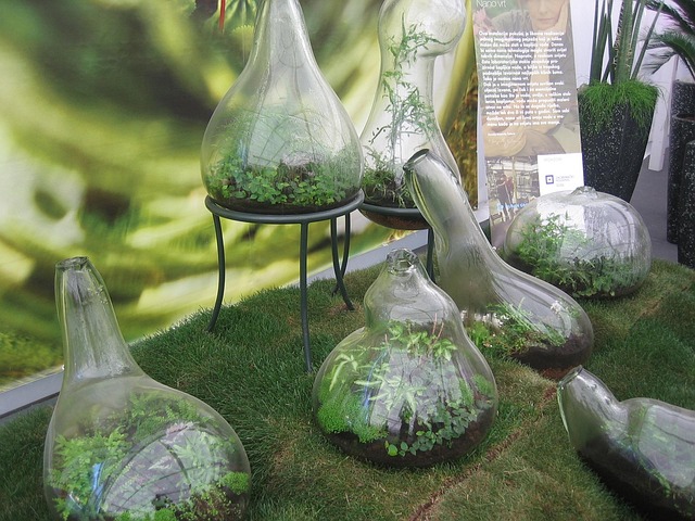 Free Bottle Herbs photo and picture