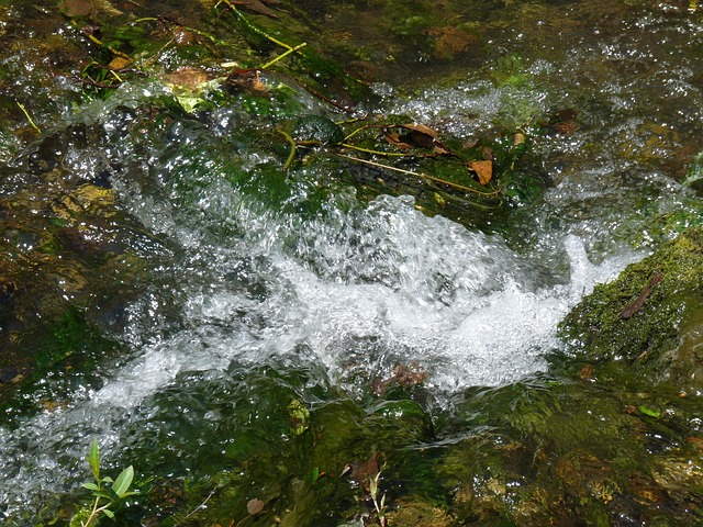 Free River Water photo and picture