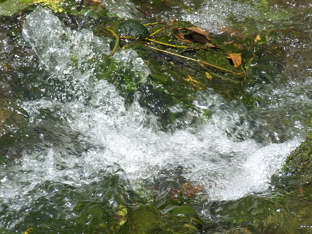 Free River Shoal photo and picture