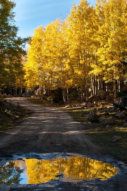 Free Autumn Color photo and picture