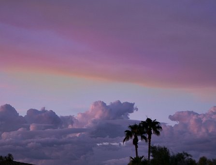 Free Clouds Palm photo and picture