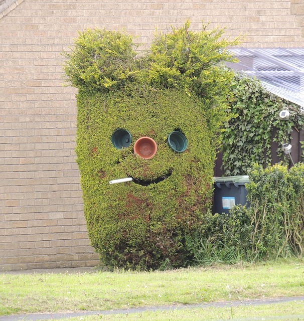 Free Hedge Funny photo and picture