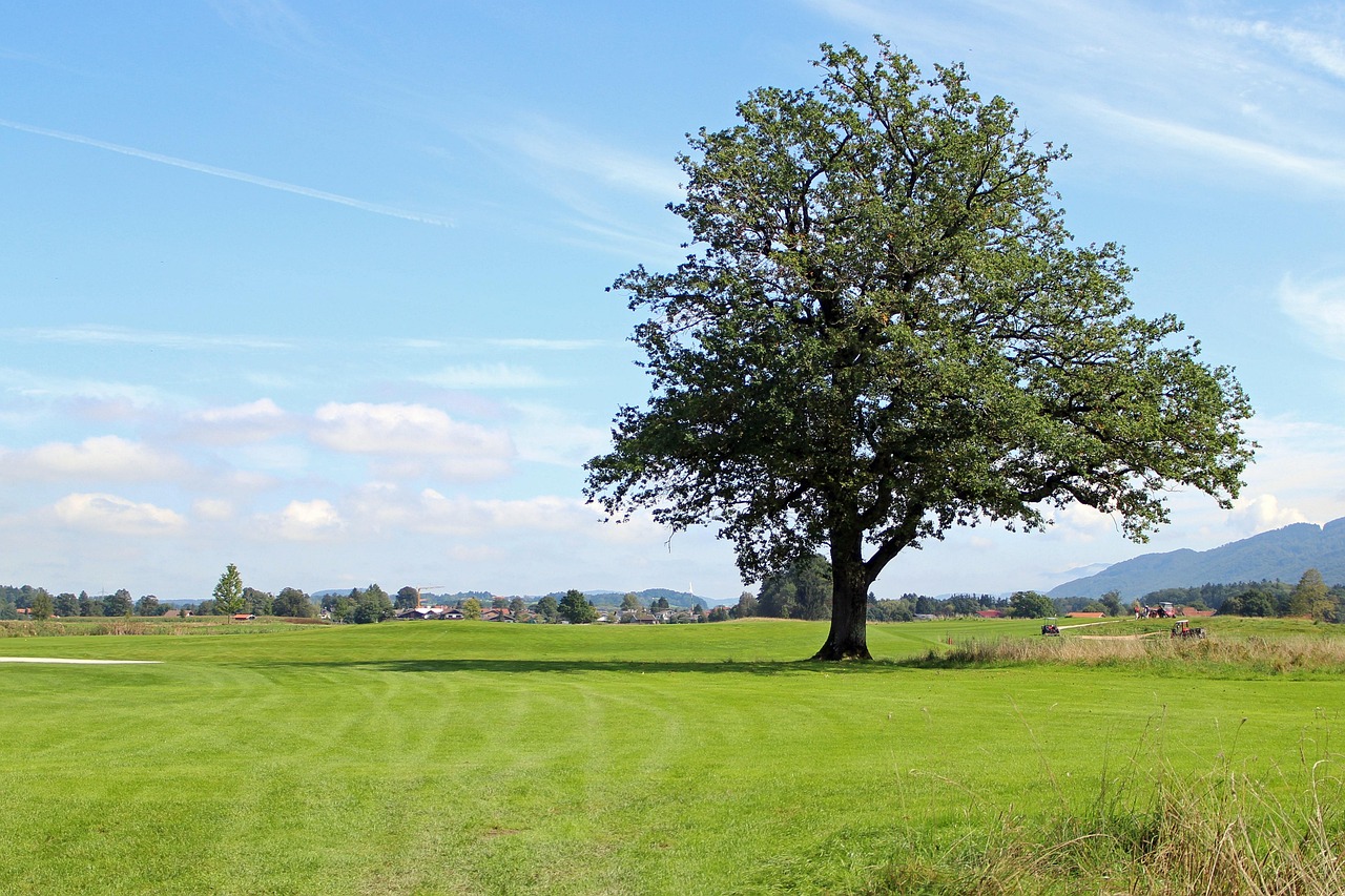 paysage-chiemgau-arbre-photo-gratuite-sur-pixabay-pixabay