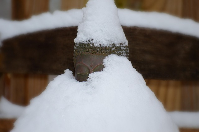 Free Buddha Snow photo and picture