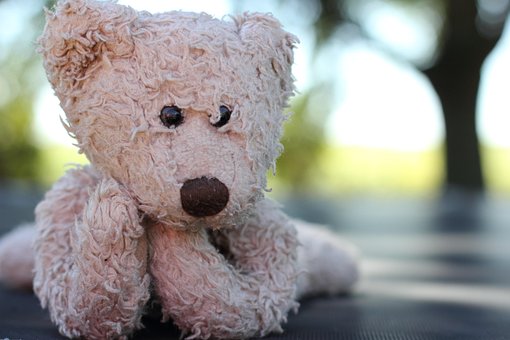 Bamse, Udstoppet Dyr, Kælne, Fyldt
