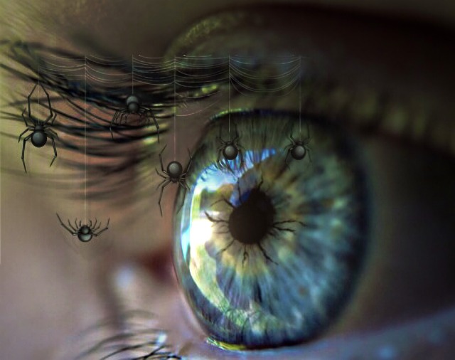 Free eye iris pupil illustration