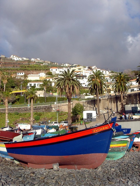 Free Beach Boat photo and picture