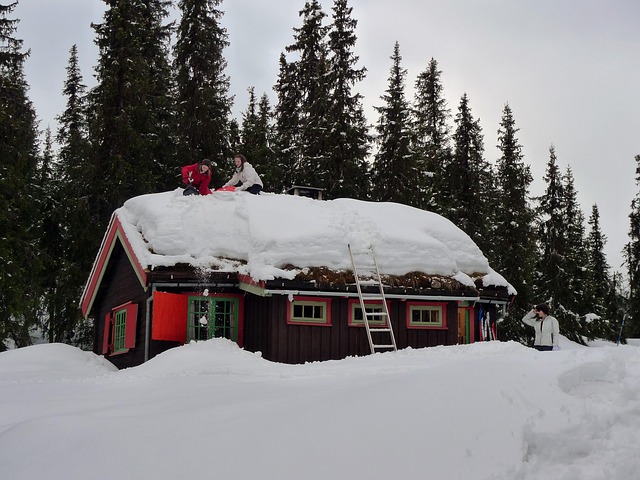 Free Mountain Snow photo and picture
