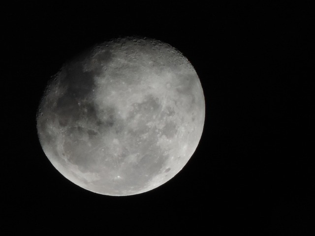 Free Moon Night photo and picture