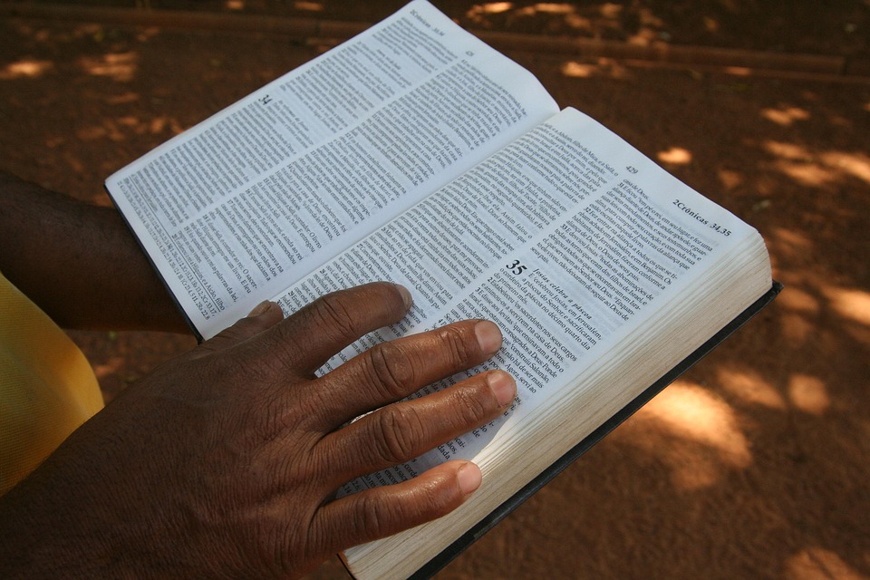 hand bible free photo