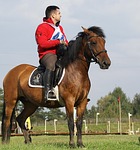 riding, games, the horse