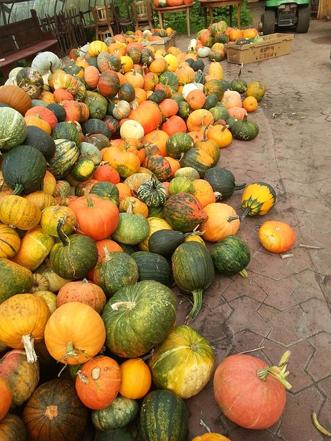 Free Pumpkin September photo and picture
