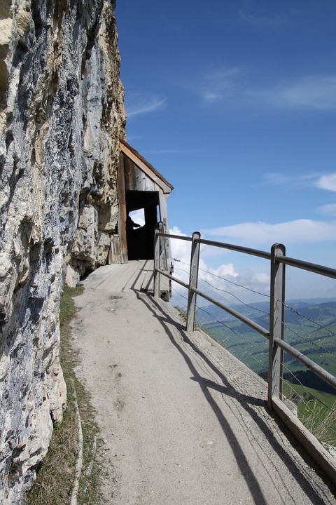 Path Railing Ash - Free photo on Pixabay - Pixabay