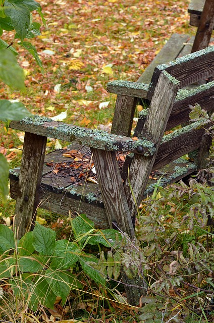 Free Garden Furniture Autumn photo and picture