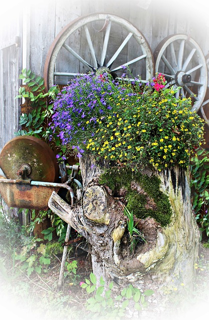 Free Tree Trunk Flower photo and picture