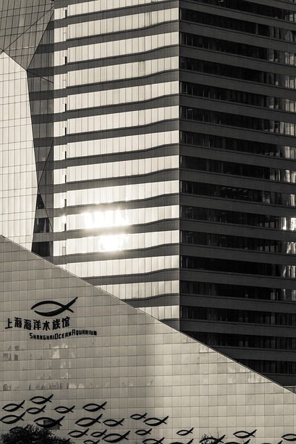 Free Architecture Business photo and picture