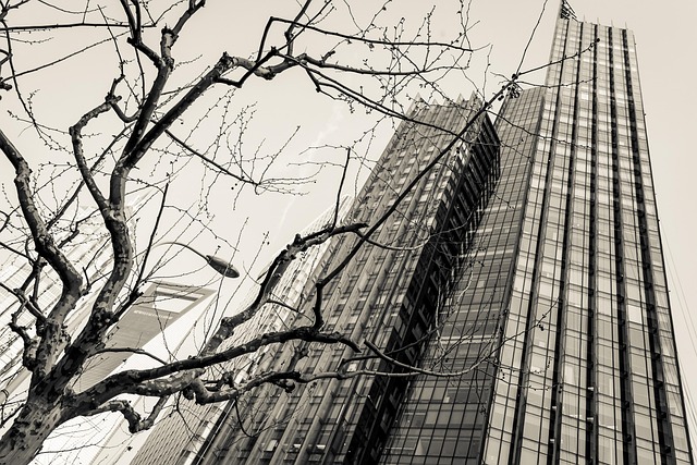 Free Skyscrapers Architecture photo and picture