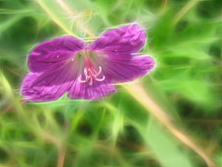 Free Art Flower photo and picture