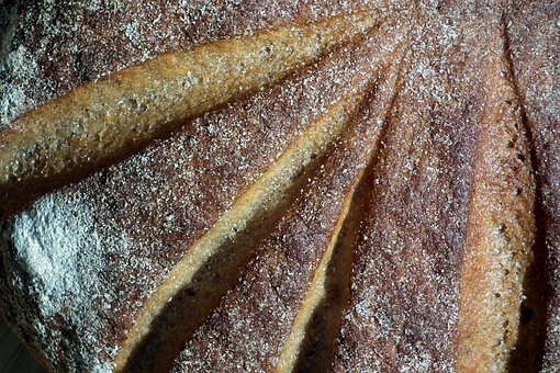 Free Rye Bread Food photo and picture