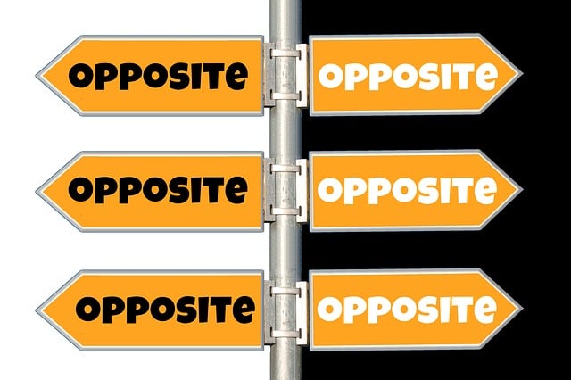 Free pole balance incapable of making a decision illustration
