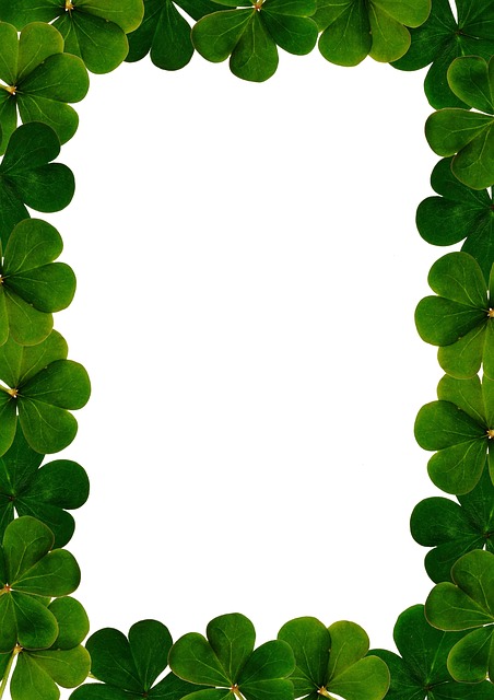 Free frame leaves leaf illustration